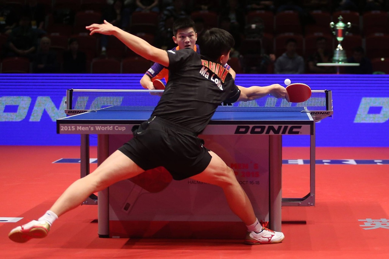 Table Tennis players